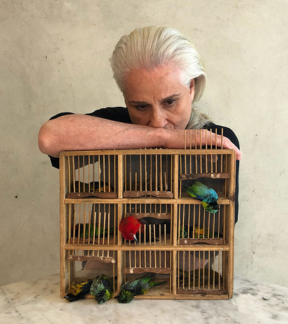 Advocacy e combate ao tráfico de animais silvestres