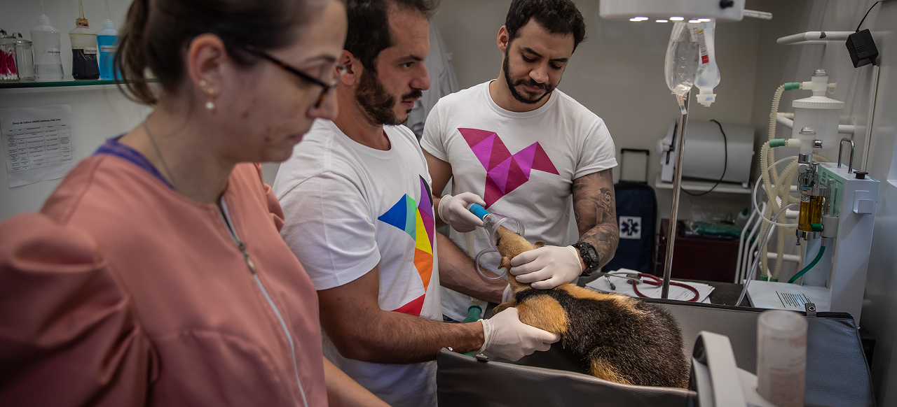 Conexão Centro de Reabilitação de Animais Silvestres
