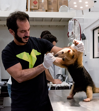 Conexão Centro de Reabilitação de Animais Silvestres
