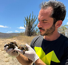 Repatriação de fauna
