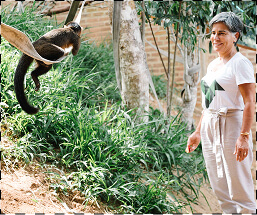 Mantenedor de Fauna